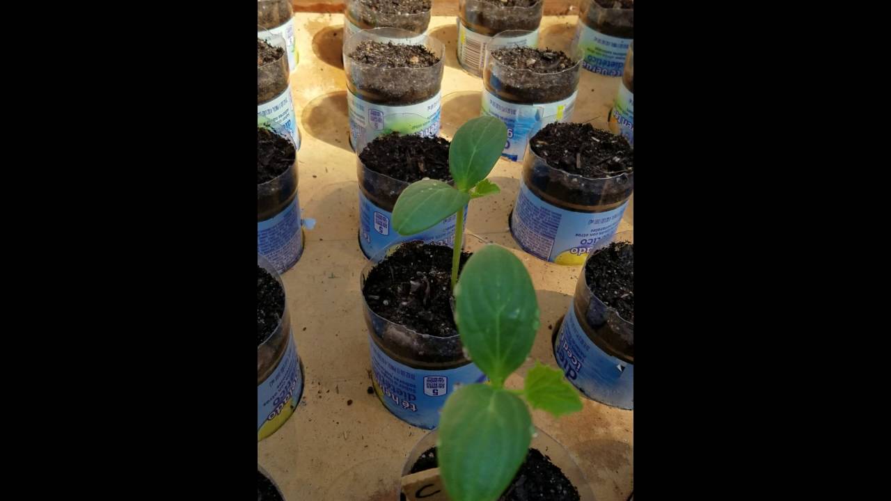 Self watering mini greenhouse  (swmg) update