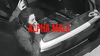 Animal Movie Edit Ft Alpha Male