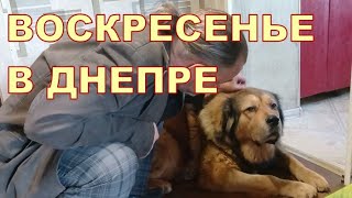 ВОСКРЕСЕНЬЕ В ДНЕПРЕ 🙃🙃