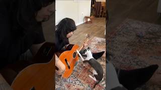 Girl And Her Dog shortfeed viralshort petloverscommunity