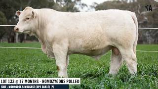 LOT 133 : ASCOT WORSHIP W141E P