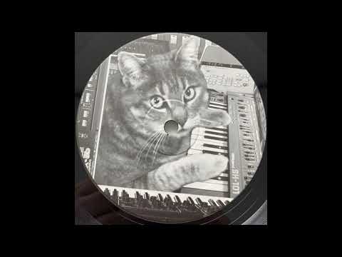 Faceless Mind — Faceless Mind - Data Kontroll (Legowelt rmx)