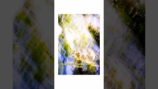 Accidentally creating art on a 100 year old camera!? #filmphotography
