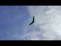 Icaro Alto hang glider