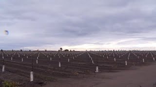 Difficult decisions for Valley farmers coming amid expected rain