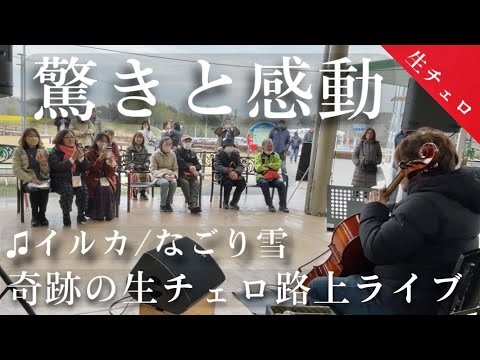 急にプロのチェロ奏者がイルカ“なごり雪”を弾いたら沢山の人が立ち止まり、頭上から衝撃の轟音が...【ストリートチェロ】