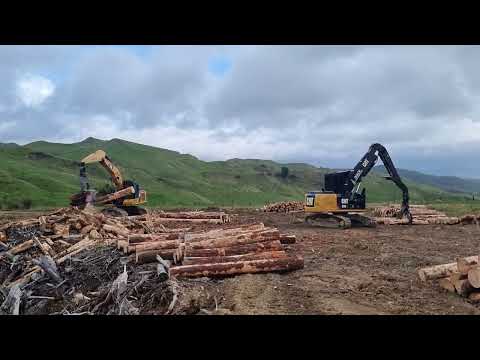 Logging NZ