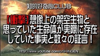 【驚愕】想像上の架空生物と思っていた生命体が実際に存在していた事実と数々の証言!734