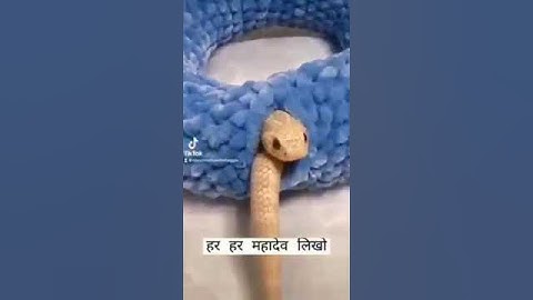 #mahadevstatus #mahadev #bholenath #bholenathstatus #mahakal #shambhu #shiv #shankar #shorts #status