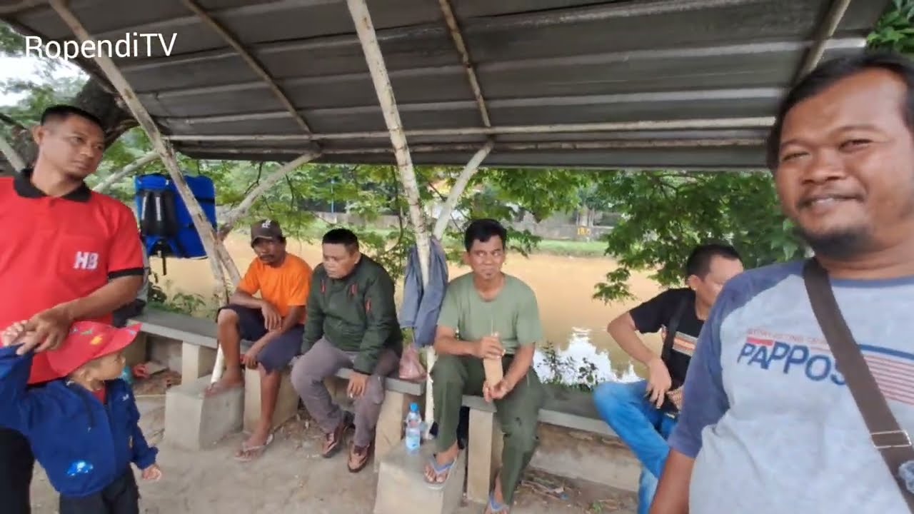 Sudah langkah harga masih murah  mirip burung mahal suaranya