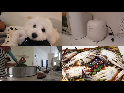 전기밥솥 구매 | 초간단 간장게장 만들기 | 아빠를 위한 밑반찬 만들기
