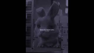 Hayvanları Üzmeyin