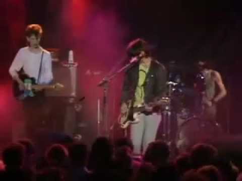 The Chameleons - Return of The Roughnecks