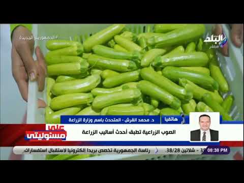 الزراعة 19 مليون طن حجم إنتاج الخضروات في 2018 والآن نصل إلى 23 مليون طن