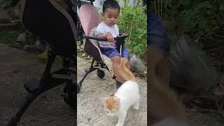 #anamtakhan#cat #duet #抖音舞蹈 #imut #kittenlove #cuteanimal #cutecat #cutepet #catboy #cute#anabul