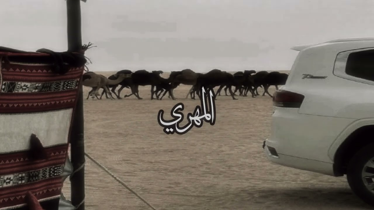 شيله اعرف ناس للحين مقهوره معدله - جابر هضبان الجفراني