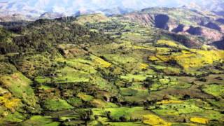 tesfaye workneh wubet