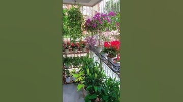 Gardening ideas for home #gardeningideasforhome #gardening #garden #wintergarden #asmr