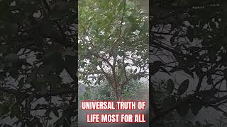 UNIVERSAL TRUTH OF LIFE MOST IMPORTANT FOR ALL LIKE SHARE AND SUBSCRIBE VIRAL VIDEO TRENDING NAINI