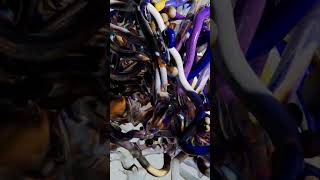 New Attic Drop: Houdini Colorful Curves & Liquid Advection Rendered With Karma & Solaris New Attic Drop: Houdini Colorful Curves & Liquid Advection Rendered With Karma & Solaris