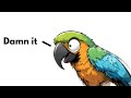 How Does Parrots Mimic Human Speech