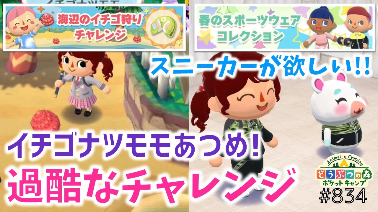 ポケ森 一番過酷なミニチャレンジが来ちゃいました どうぶつの森ポケットキャンプ 無課金 Youtube