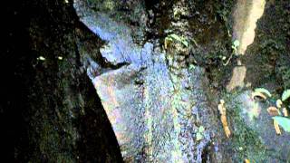 DSCN1570.AVI