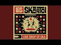 One Drop Of Ska