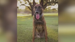 Memorial date set for fallen Boerne PD K-9 officer