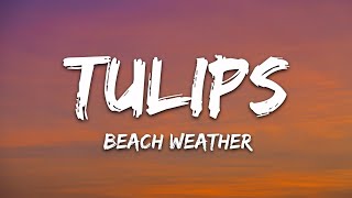 Celebrity Beach Weather - Tulips (Lyrics) Wealth