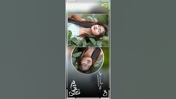 ld dodwa new timli 2022