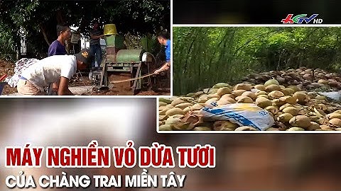 Nền nông nghiệp sinh thái là gì năm 2024