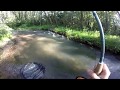 Pesca a ninfa: trucha de 3 kg en un riachuelo (parte1)