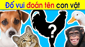 Câu ĐỐ VUI CHO BÉ về con vật - Đố vui giáo dục cho TRẺ MẦM NON [ PHẦN 2] | Thần Đồng