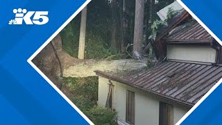 Woman killed after tree falls on home in Bridle Trails during windstorm from bomb cyclone