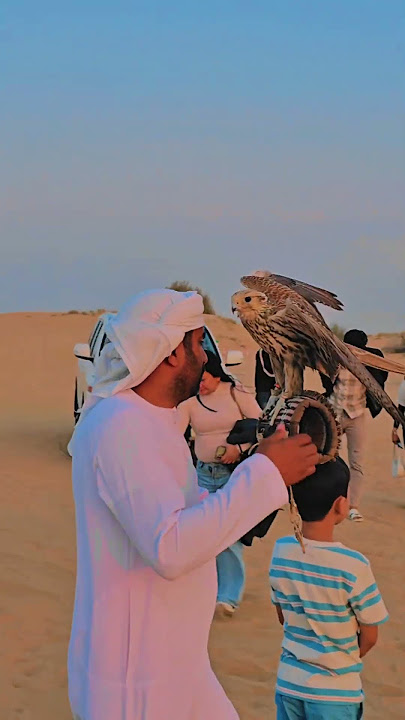 Habibi Come to Dubai 🇦🇪 #dubai #travel #habibi