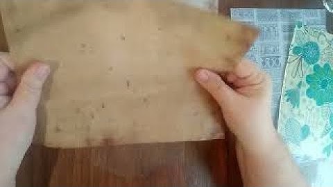 Vellum and Parchment papers