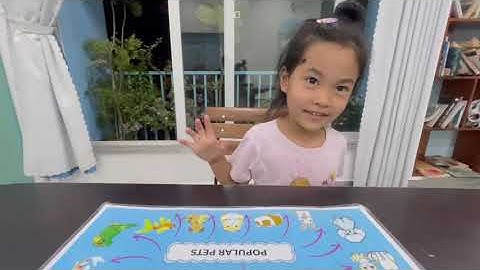 Tiếng Anh Giao Tiếp Phan Thiết: Lily practices talking about Pets