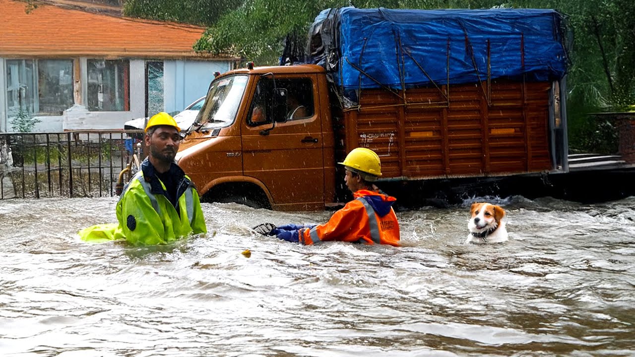 Draining A Flooded Street Urban Flood Fixers Drain Unclogging - YouTube