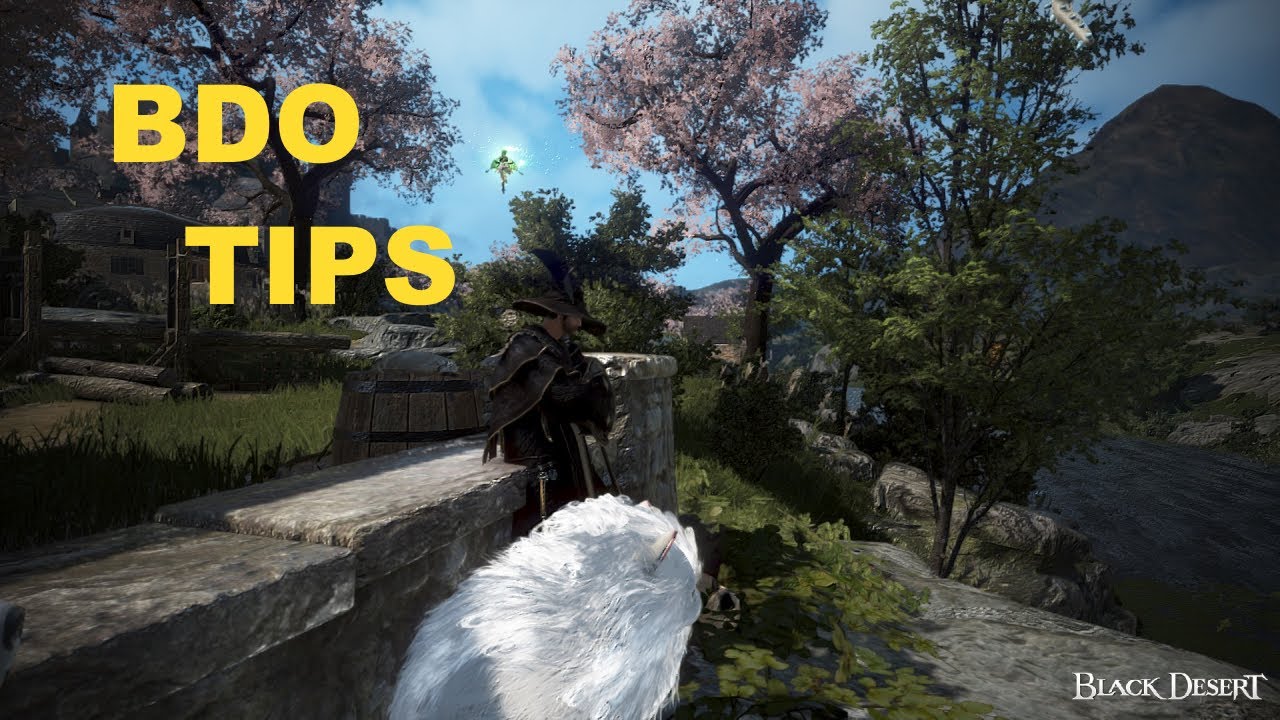 STORAGE - BDO TIPS #8 | BLACK DESERT ONLINE - YouTube