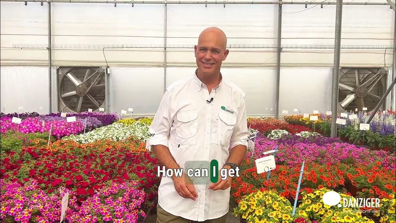 Calibrachoa YouTube
