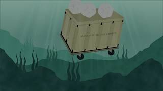 Alternate Title Sequence: The Shape of Water