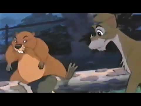 бобр курва 🤣🔥 - YouTube