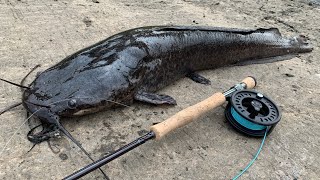 GIANT Catfish on the Fly | Fly Fishing in Hong Kong #2