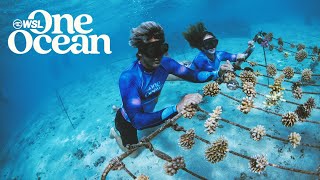 WSL One Ocean 2023 Global Impact
