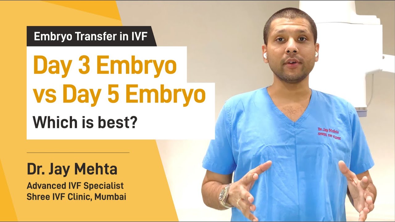Day 3 Embryo vs Day 5 Embryo | What is Blastocyst | Which Embryo is the ...
