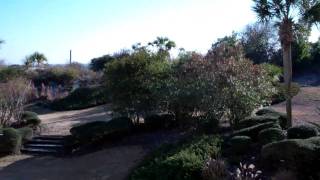 1304 Shipwatch at Amelia Island Plantation