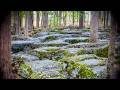 We Can Save 140 Acres at Stones River and Fort Heiman