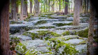 We Can Save 140 Acres at Stones River and Fort Heiman