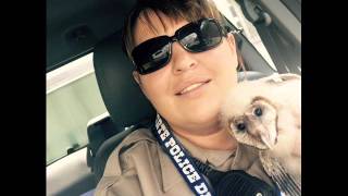 Day In The Life Of An Animal Control Officer